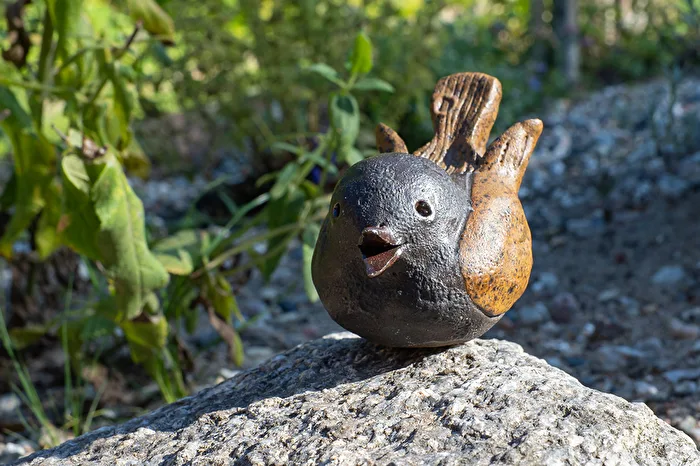 Ein seltener Vogel