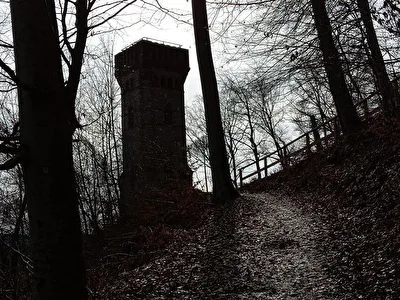 Der Turm und die Bäume