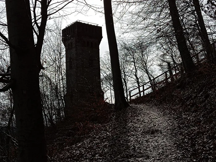 The Tower and the Trees