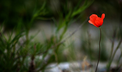 Bildgestaltung mal anders