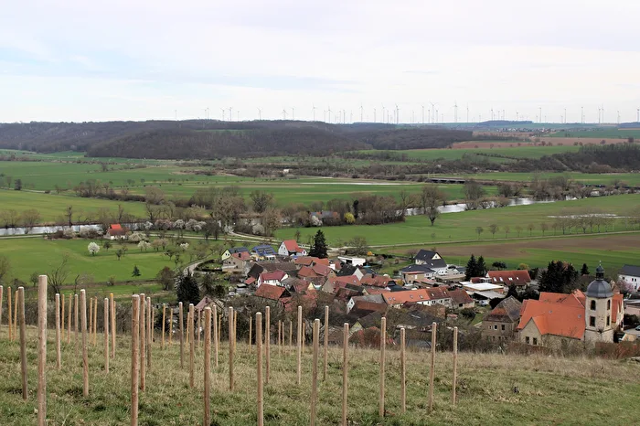 Auf dem Weinberg
