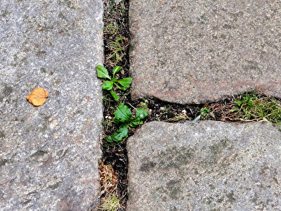 minimalistischer Lebensraum