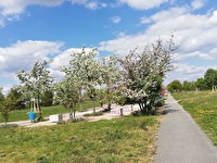 Frühling