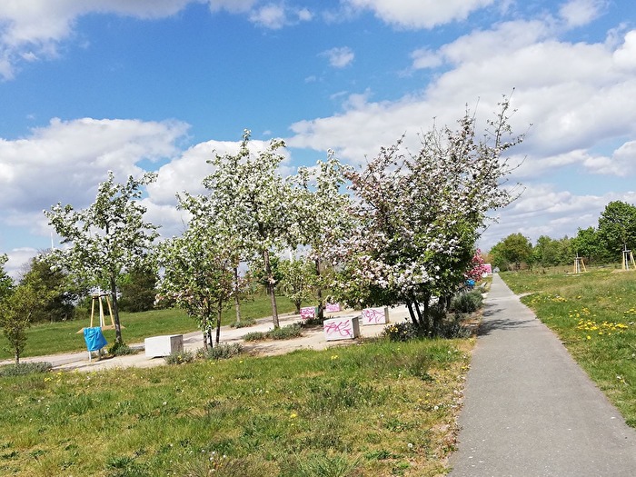 Frühling