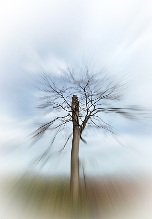 ZoomBurst Abgebrochen...