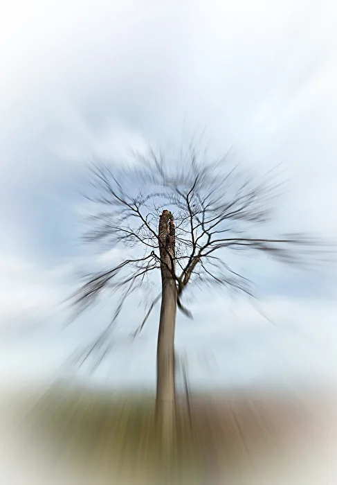 ZoomBurst Abgebrochen...