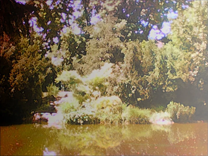 parkteich