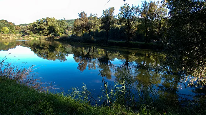 Reflection in the side arm of the Danube 1