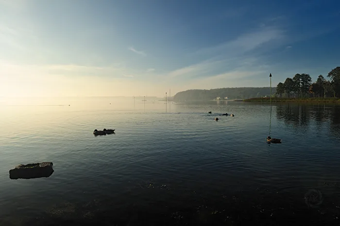 Autumn morning at the German-Danish border