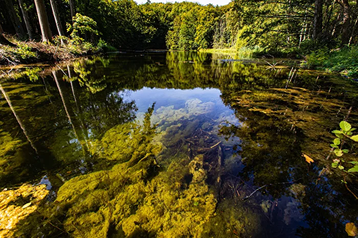 The lake is still