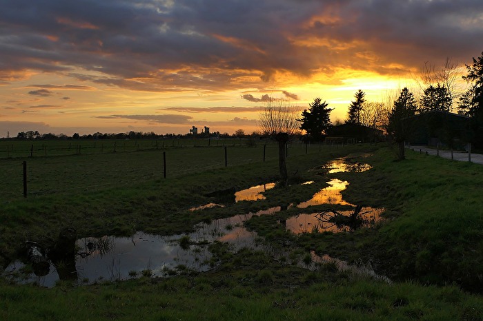 Abends am Biotop
