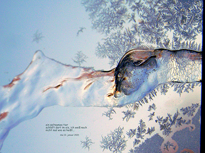 über die vergänglichkeit