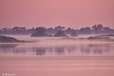 Morgens am Gülper See