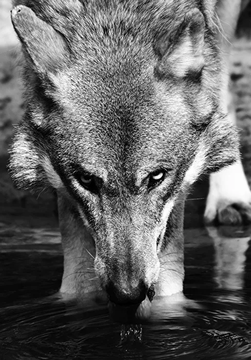 seeing - I see you!