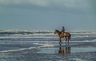 On the beach