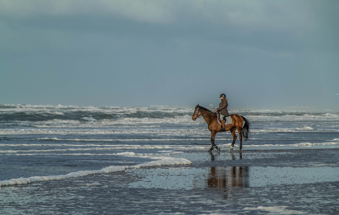 On the beach