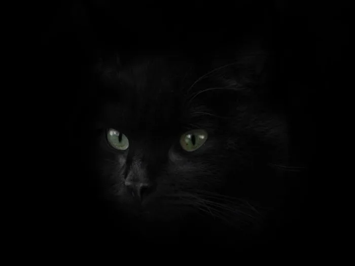 Schwarz