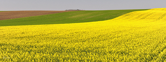 Springtime
