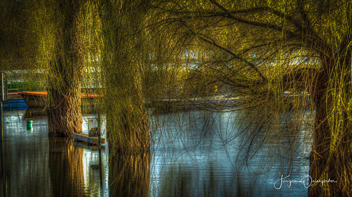 Im Schleier des Wassers