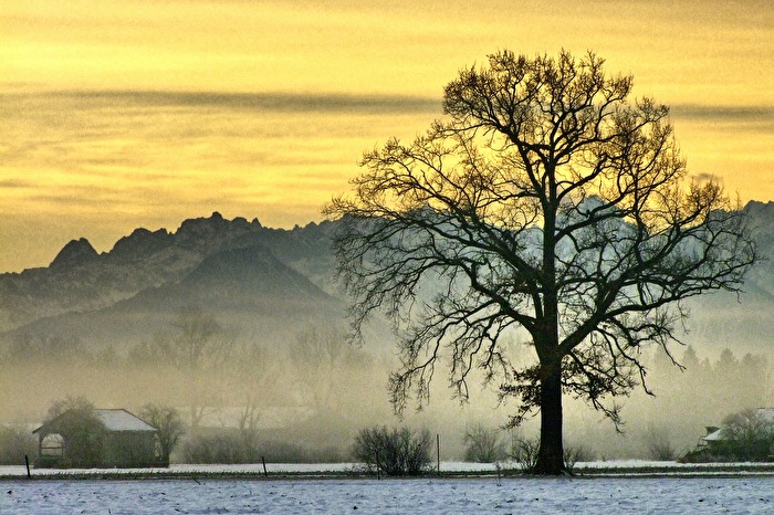 die Stille vor Sonnenaufgang