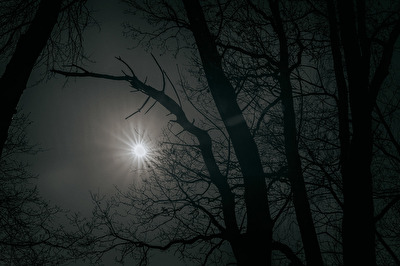 "Sonne in der Nacht"