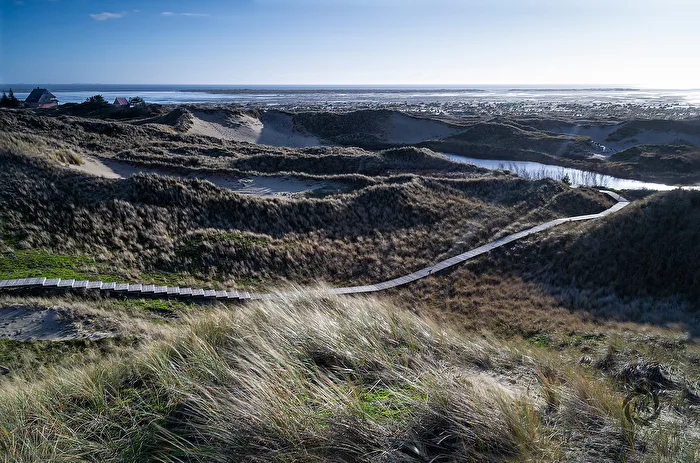 Amrumer Dünenlandschaft