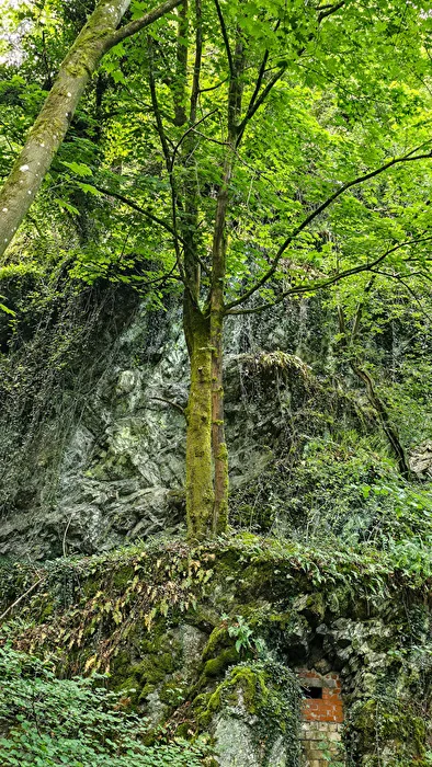 Bunker entrance