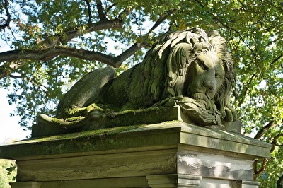 Der Löwe in Bad Helmstedt