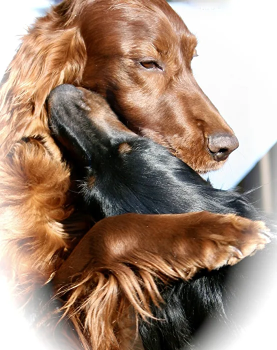Kira and Gracie