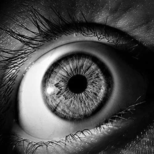 Das Auge