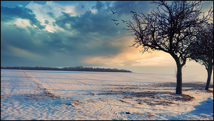 Winterlandschaft bei Blaufelden.