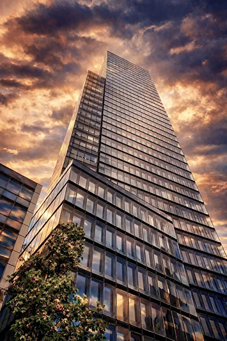 The Tower