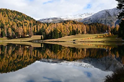 Spiegelungen