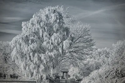 Winter_Wonderland