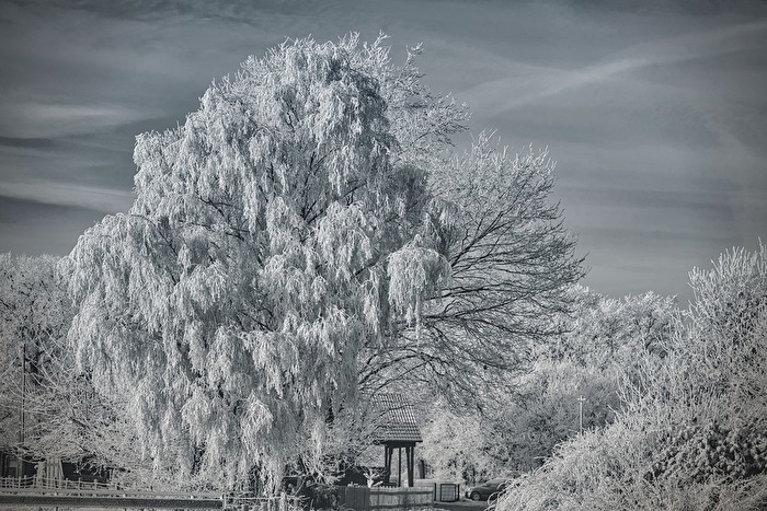 Winter_Wonderland