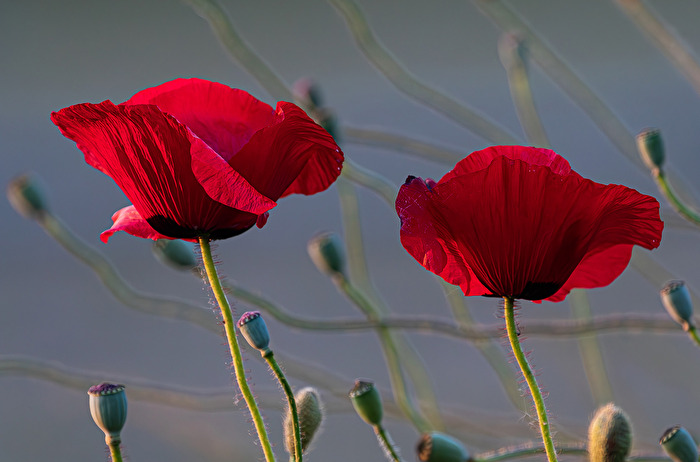 . . .  In der Abendsonne . . .