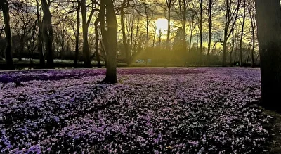 Frühlingserwachen