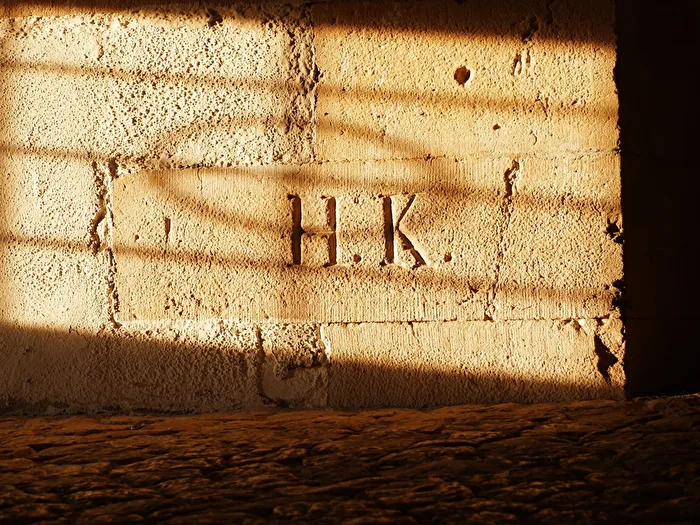 In the Light