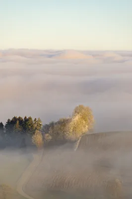 Nebelmeer