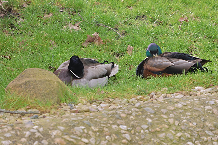 Wir genießen die Ruhe