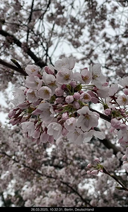 Spring is in full swing