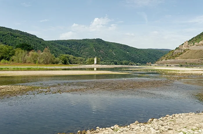 Torre de ratones y ruina del castillo Ehrenfels