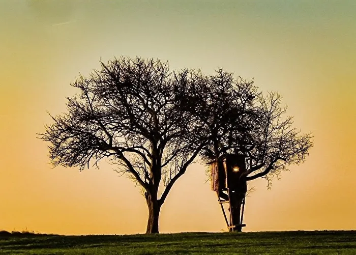 Evening