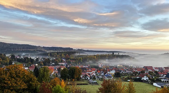 Nebel am Morgen