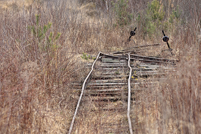 Die Regierung hat den Weg bereitet und die Weichen gestellt...gute Fahrt, Deutschland