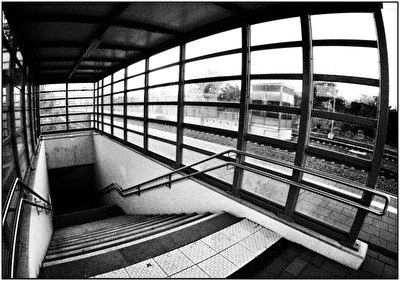 Wo steckt Orpheus denn schon wieder?