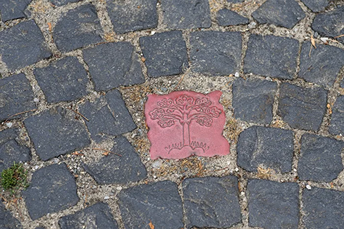 Pflasterstein "Sehenswürdigkeit in Telgte"