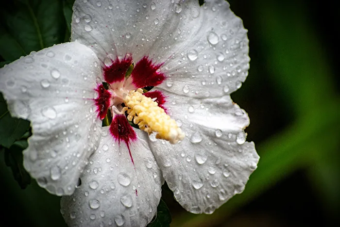 Nach dem Regen...