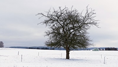 Noch gibt es Schnee