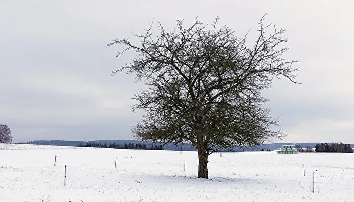 Noch gibt es Schnee